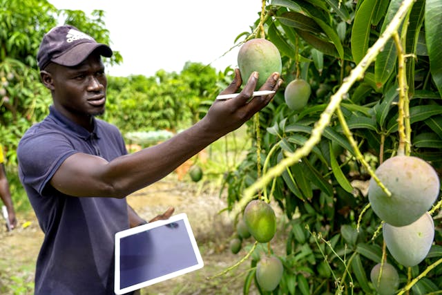 Innovation agricole